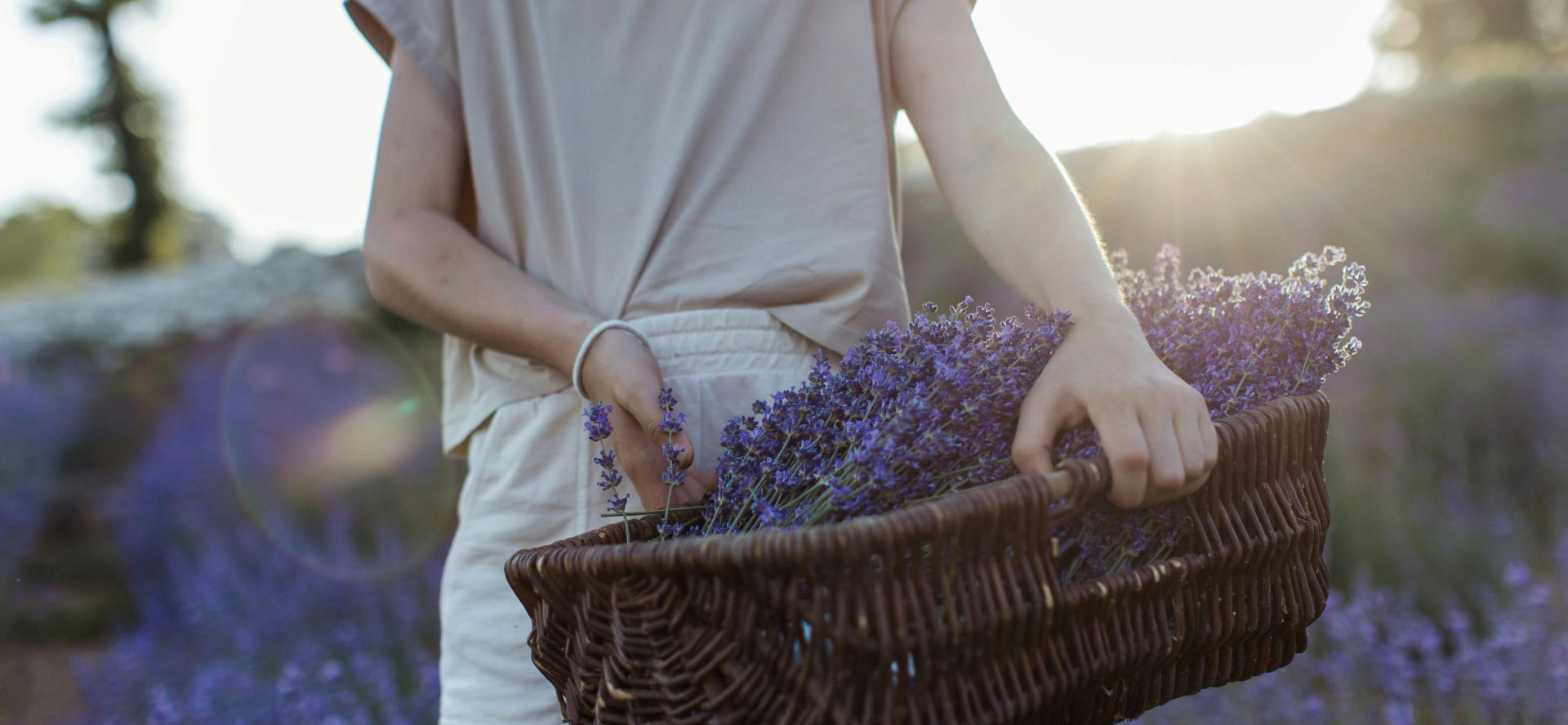 banner-NaturesEmbrace1